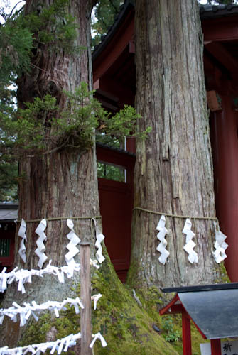 20091006_09