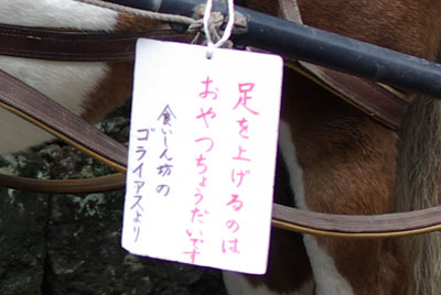 20091006_05