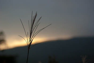 20090924_03