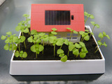 9/26�����ΥХ���