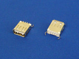 ¤³¤ì¤¬USB2.0Âбþ¥³¥Í¥¯¥¿¤À¡ª