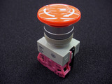 SANY0262