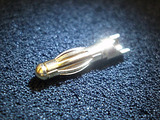 golden banana 1