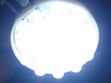LED¥â¥¸¥å¡¼¥ë£²