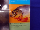 ���줬�롼�ġ���