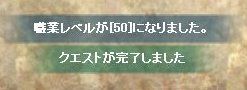 職Lv50