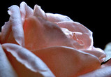 08c81389.jpg