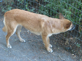 77d9b065.jpg