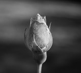 d0959e60.jpg