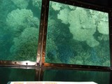 DSCF3110