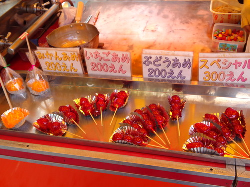 SN3S0508