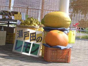 DSCN8382