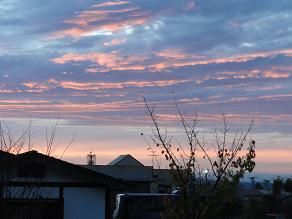 DSC02586