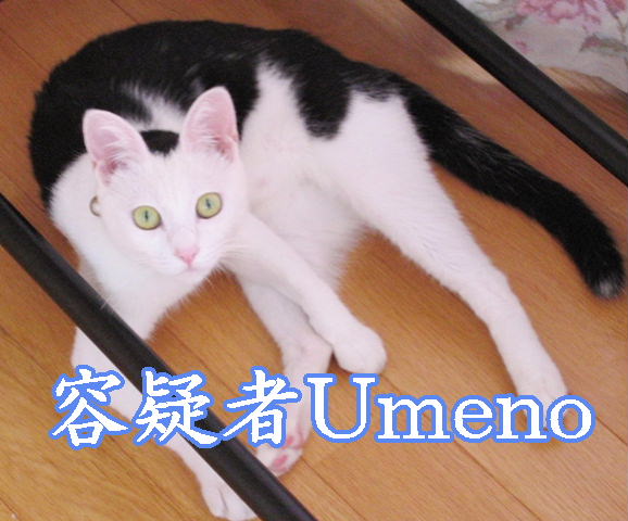 容疑者発見