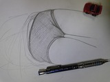 4566144d.jpg