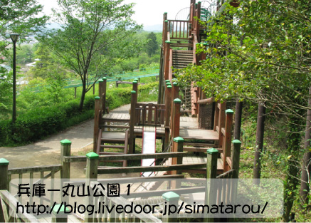 丸山公園1