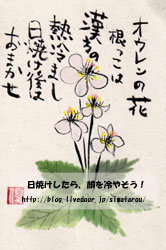 オウレンの花210325