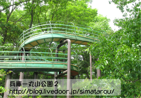 丸山公園2
