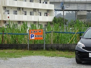 DSC08091