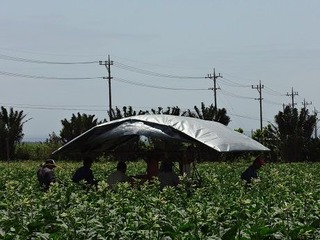 DSC05120