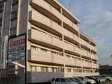 7435e7f2.JPG