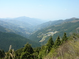 DSC03884
