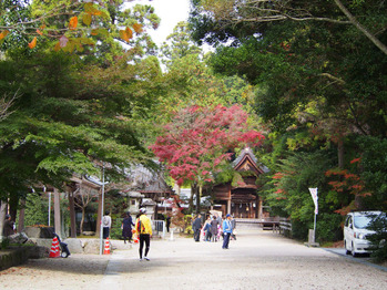 blog06
