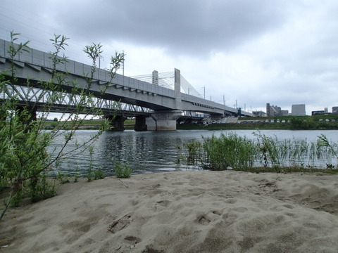 P5010181