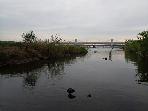 P4290150