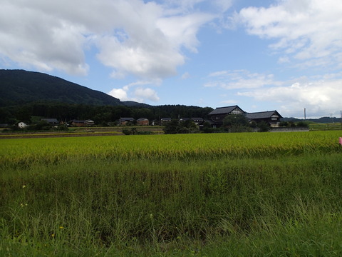 P9020936