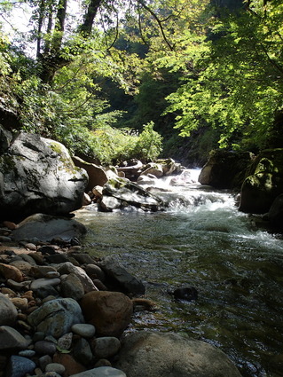 P9260409