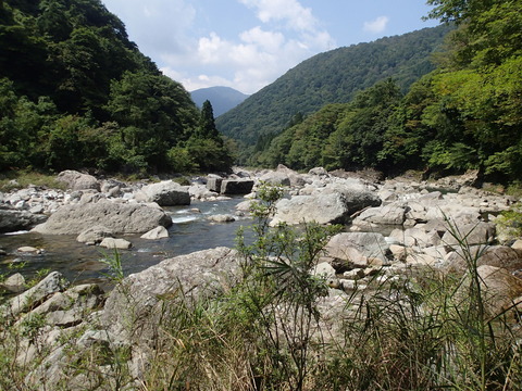 P9090389