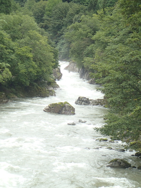 P9050385