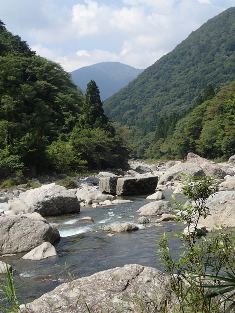 P9090390