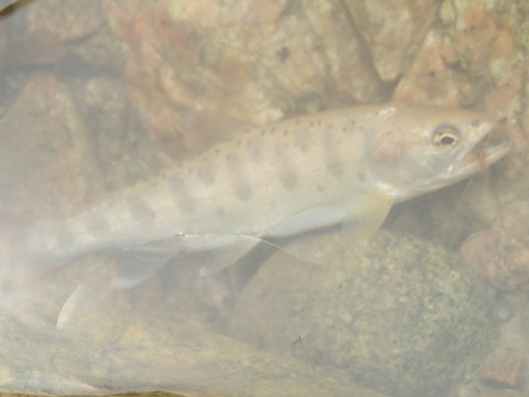 P6280336
