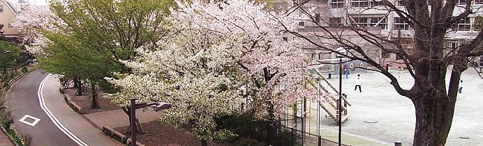 太子堂小学校