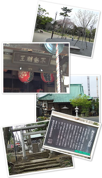 烏山緑道_コラージュ