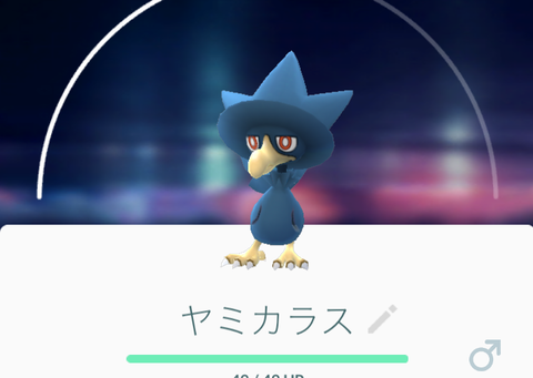 ヤミカラス
