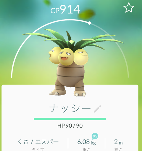 ナッシー