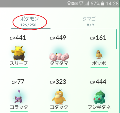 おこう開始前