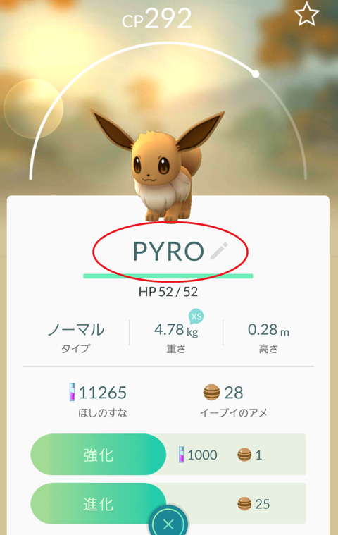 イーブイpyro2