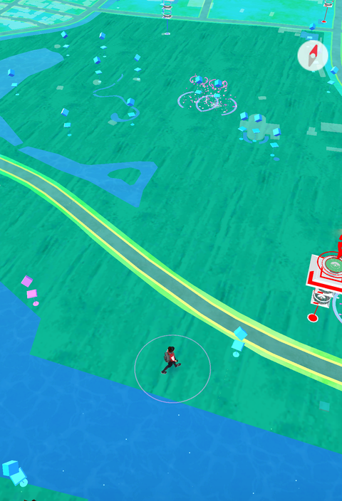 公園 広場。