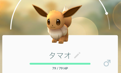 ブラッキー