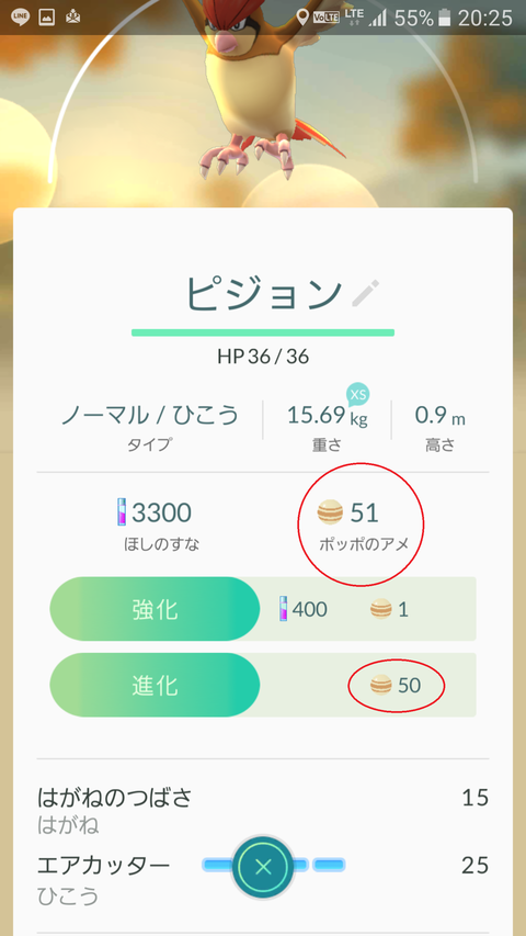 進化のあめ
