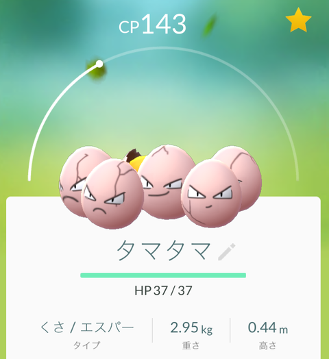 タマタマ