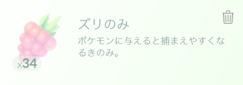 ズリの実