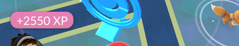 XP