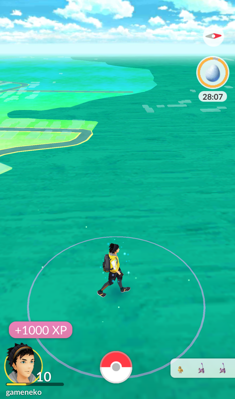 しあわせたまご進化1000EXP