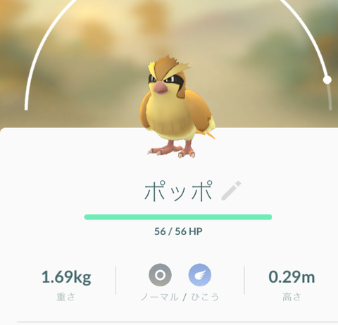 ポッポマラソン