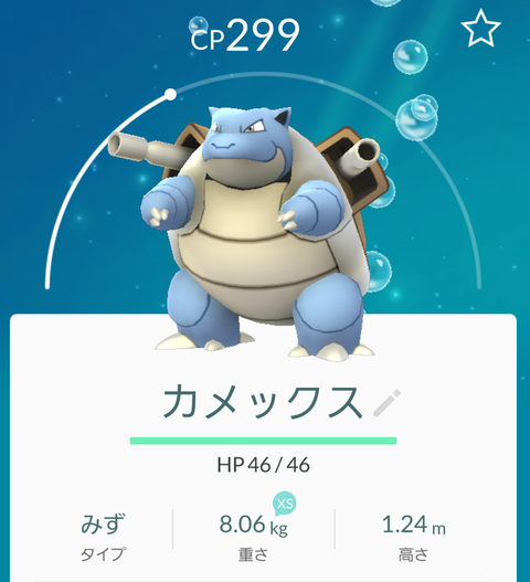 カメックス トップ